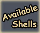 Available Seashells